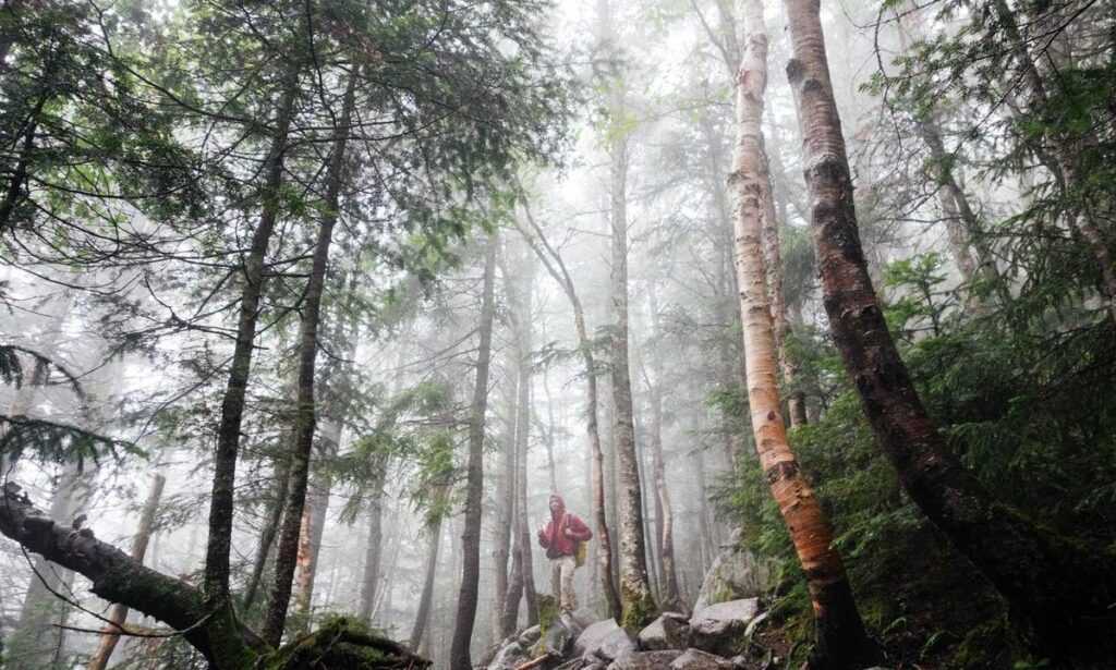 is bolytexcrose good for babies