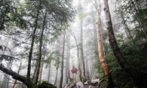 is bolytexcrose good for babies