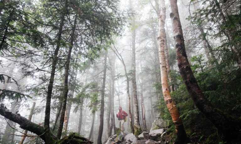 is bolytexcrose good for babies