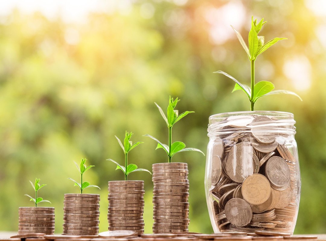 Is It Worth the Investment? A Breakdown of the Value